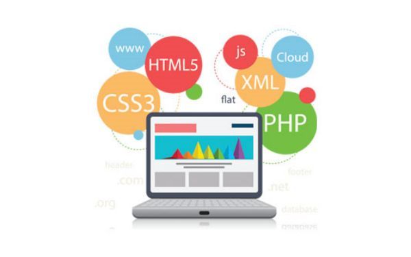 石楼�农副产品外贸站Google Core Web Vitals优化：面向全球市场的性能调优